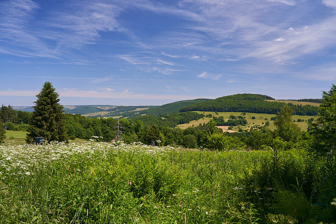 Landschaft im Oberen Ulstertal der Hochrhön, Bioshärenreservat Rhön, zwischen Hessischer Rhön und Bayerischer Rhön, Deutschland                   