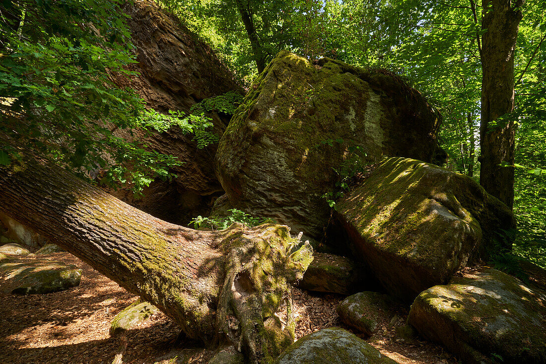 Die Rhät-Sandstein-Felsengruppe Diebskeller bei Altenstein, Naturpark Haßberge, Unterfranken, Bayern, Deutschland
