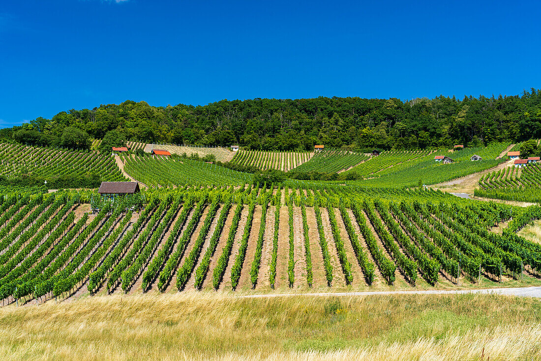 Weinberge und historische Weinberghäuschen bei Falkenstein, Gemeinde Donnersdorf, Landkreis Schweinfurt, Unterfranken, Franken, Bayern, Deutschland\n