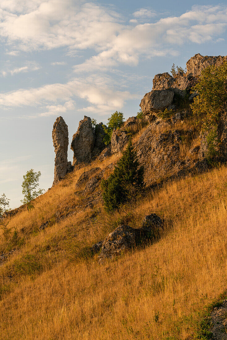 Dolomitfelsen am Tafelberg Ehrenbürg oder das „Walberla“, Naturpark Fränkische Schweiz, Landkreis Forchheim, Oberfranken, Franken, Bayern, Deutschland