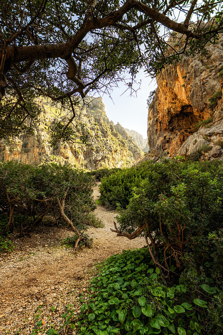 Wanderung in der Schlucht Torrent de Pareis, Sa Calobra, Serra de Tramuntana, Nordküste, Mallorca, Spanien