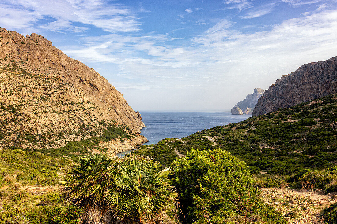 Wanderweg im Tal Vall de Boquer, bei Pollenca, Serra de Tramuntana, Nordküste, Mallorca, Spanien