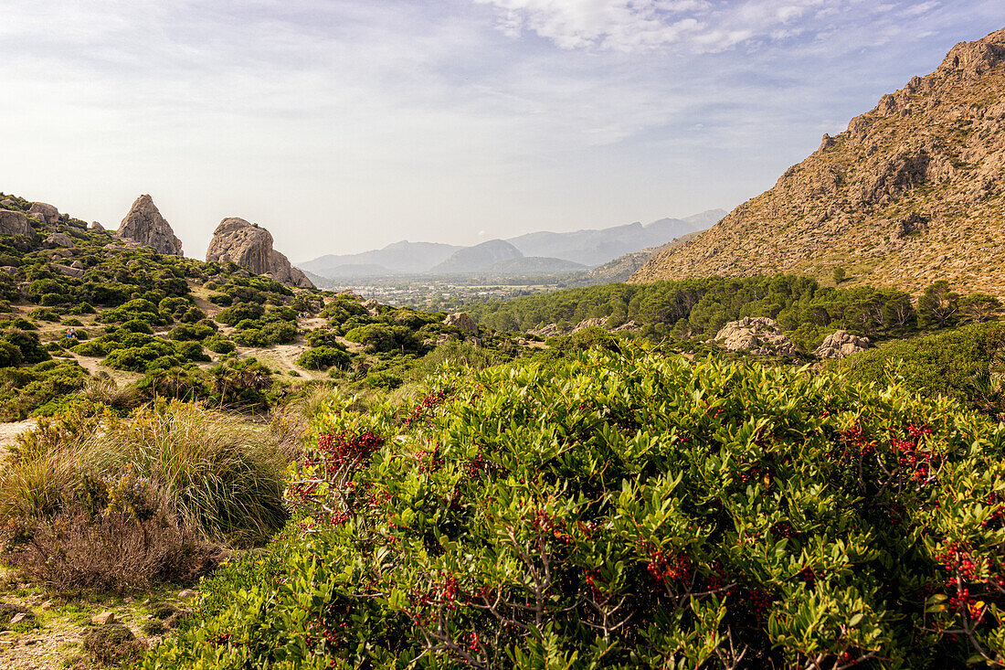 Hiking trail in Bóquer Valley, Pollenca, Mallorca, Spain