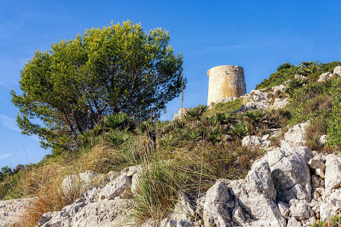 Albercutx Wachturm, Cap Formentor, Halbinsel Formentor, Nordküste, Mallorca, Spanien