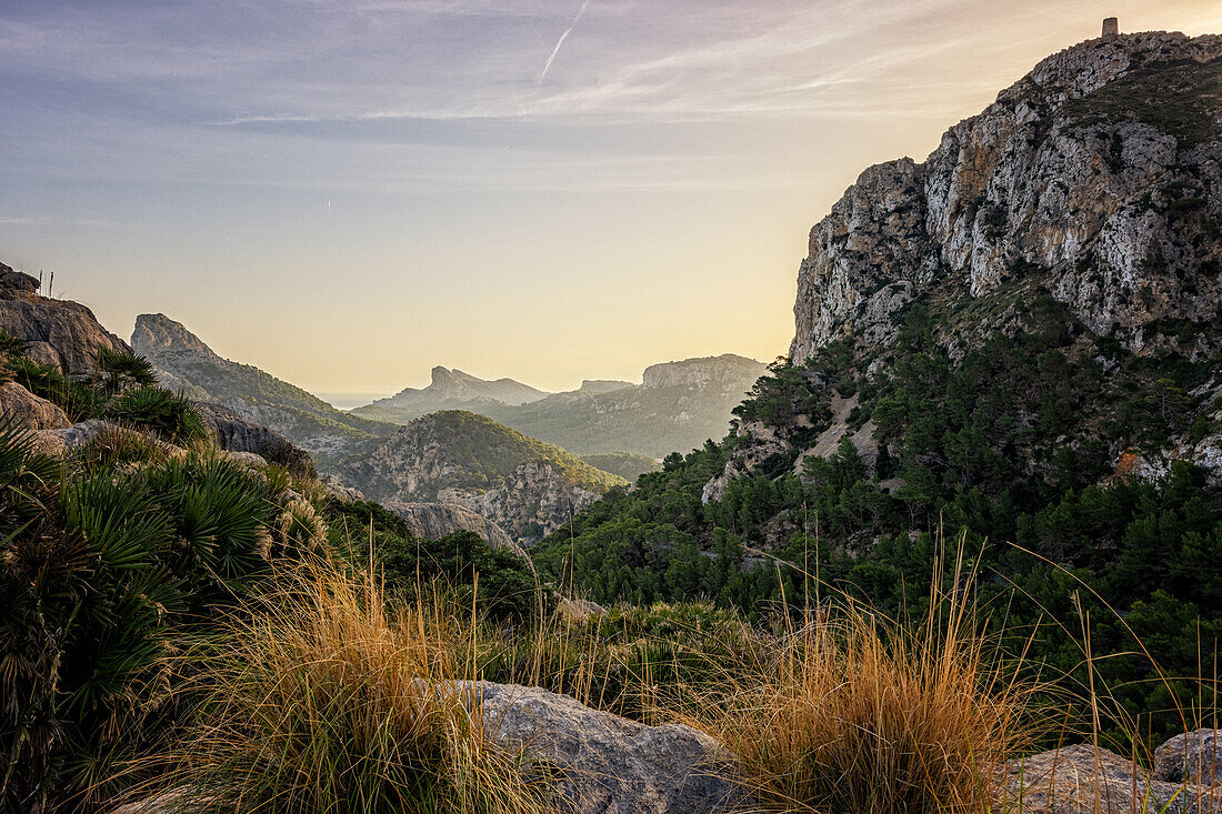 Sonnenaufgang am Mirador de Es Colomer, Punto de la Nao de Formentor, Blick auf die Serra de Tramuntana, Mallorca, Spanien