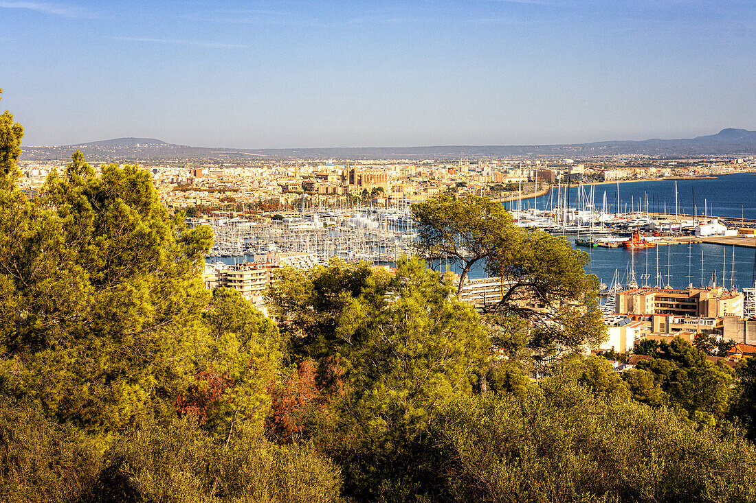 View of Palma, Palma, Majorca, Spain