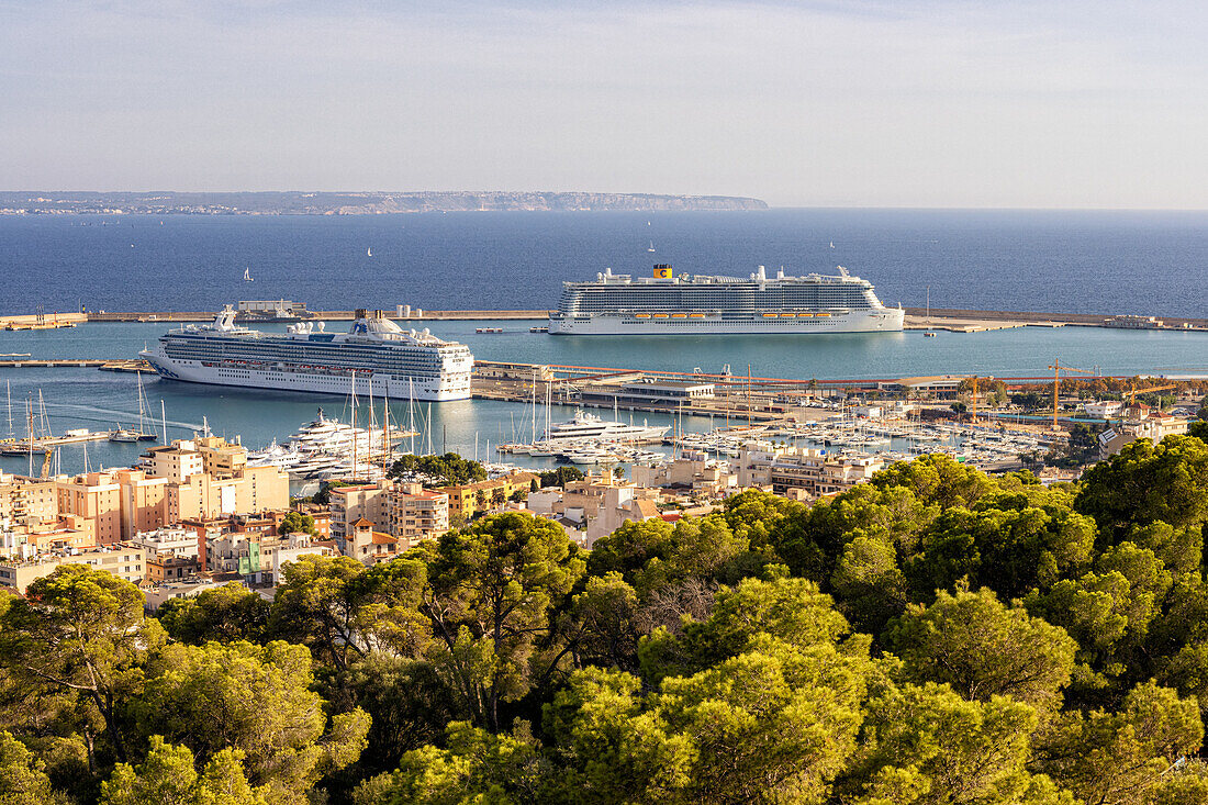 Blick auf den Hafen von Palma de Mallorca, Mallorca, Spanien