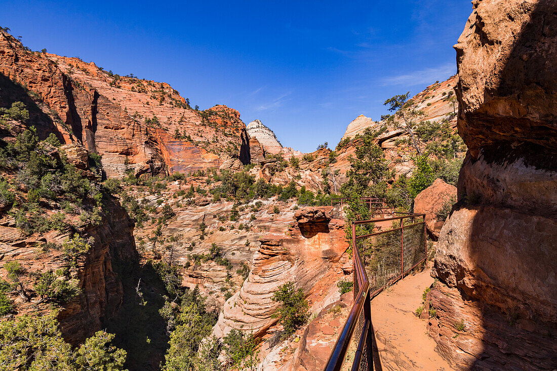The magnificent trail and view at the Canyon Overlook Trail in Zion National Park in Utah in the USA