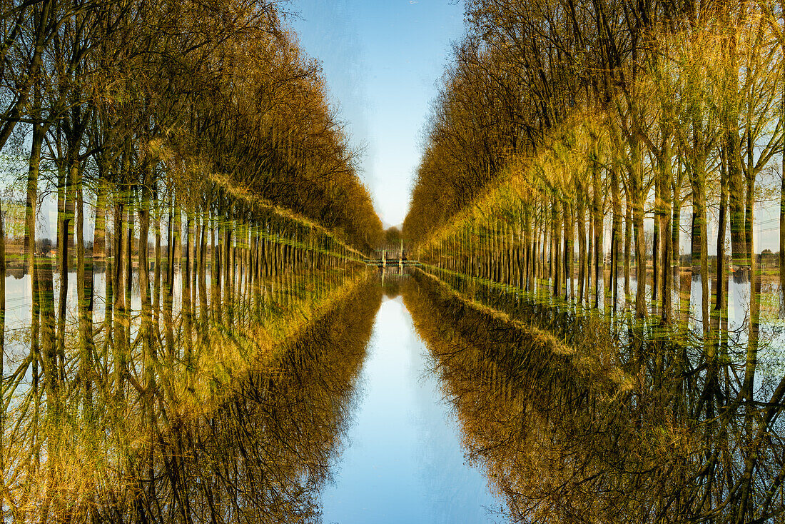Pappeln säumen einen Kanal im ländlichen Flandern, Belgien.