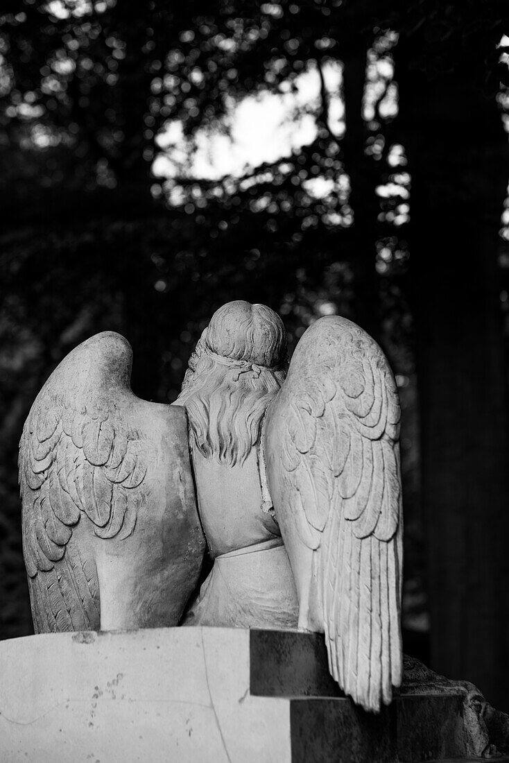 Back of a white marble angel statue.