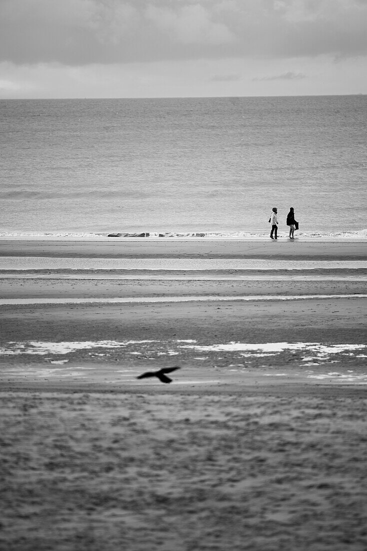 People walking and a bird flying across the sand beach of Ostend in Belgium.