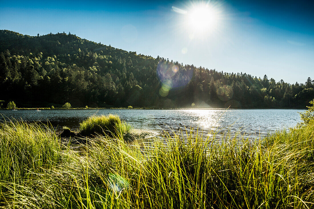 Bergsee im Sommer, Lac de Blanchemer, am Hohneck, La Bresse, Vogesen, Region Grand Est, Elsass-Lothringen, Département Vosges und Haut-Rhin, Frankreich