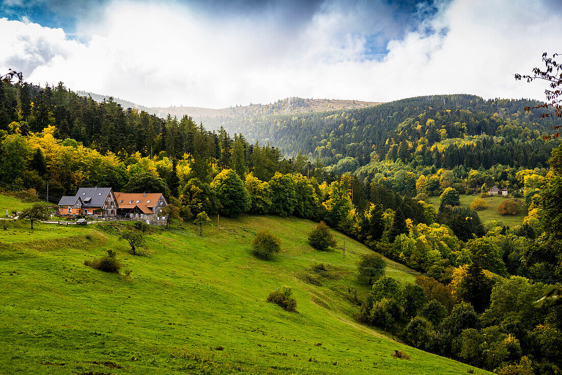 Ferme Auberge Christlesgut, Metzeral, Grand Est region, Alsace, Vosges, Haut-Rhin department, France