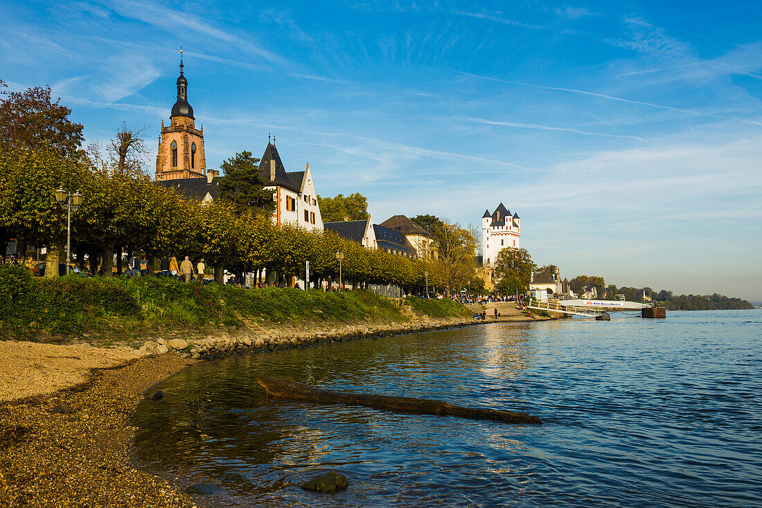 Eltville, Rhine, Rheingau, Hesse, Germany