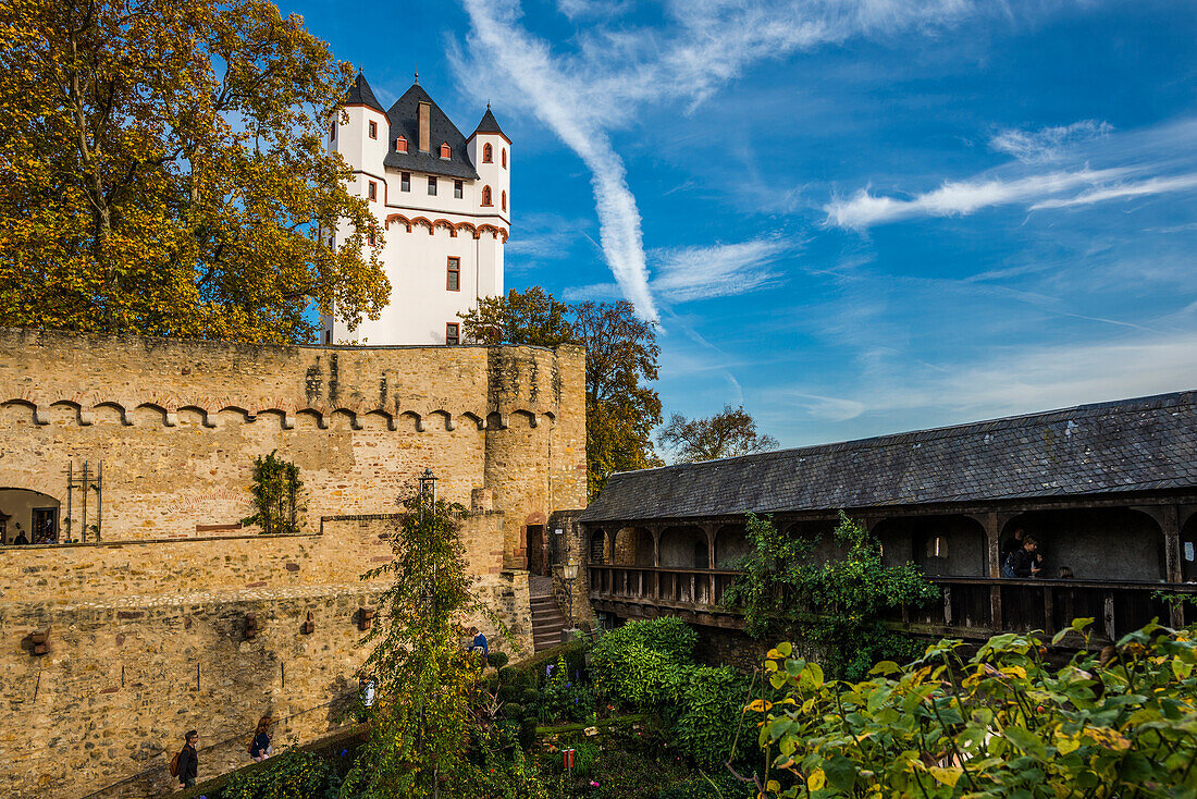 Kurfürstliche Burg, Eltville, Rhein, Rheingau, Hessen, Deutschland