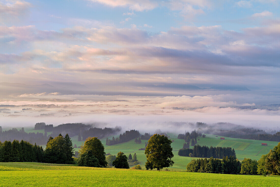 Looking south from the Auerberg on a foggy early autumn morning, Bavaria, Germany, Europe