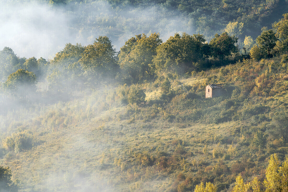 Morgens in den Hügeln nahe Chiusdino, Provinz Siena, Toskana, Italien    