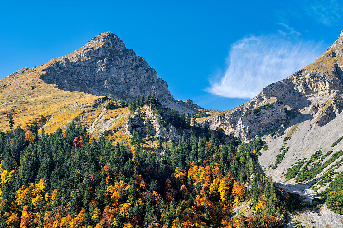 Farbenprächtiger Herbstwald oberhalb der Engalm, Eng, Hinterriß, Karwendel, Tirol, Österreich   