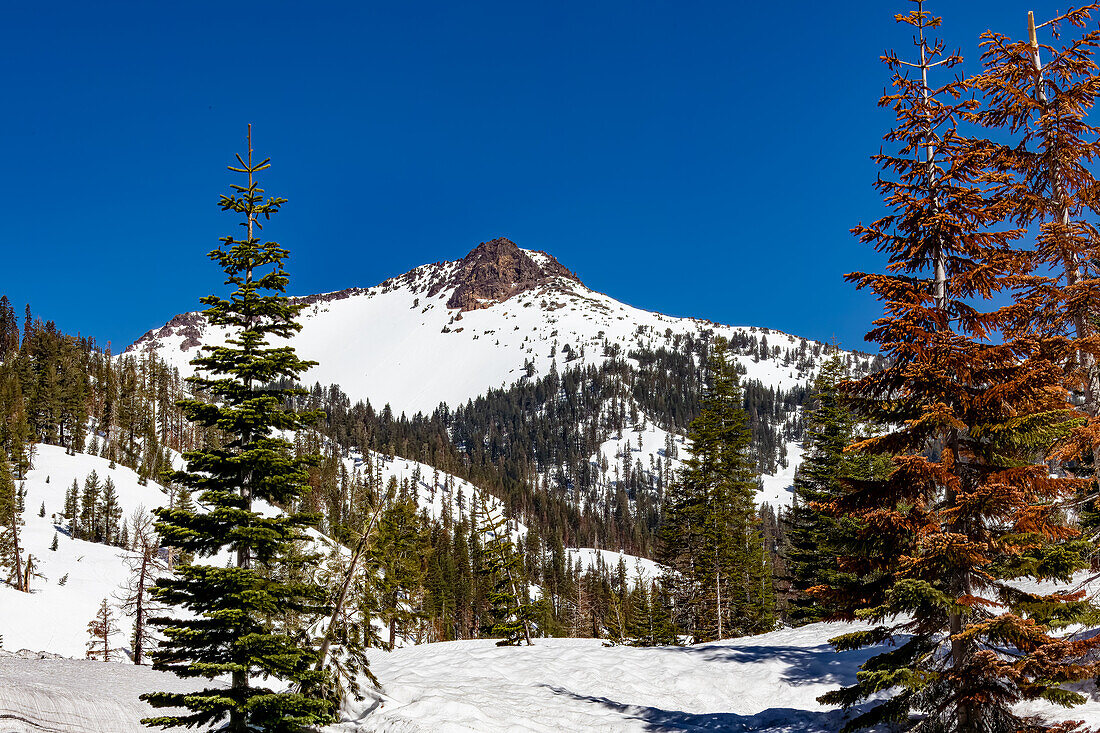 Lassen Volcanic National park in spring with massive amounts with over 18 feet of snow in some parts of the park