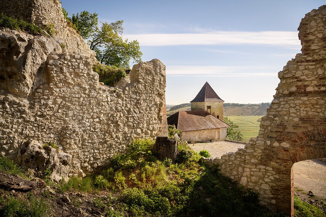 Castle ruins of Kaltenberg near Hürben in the Lone Valley, district of Heidenheim, Swabian Jura, Baden-Wuerttemberg, Germany, Europe