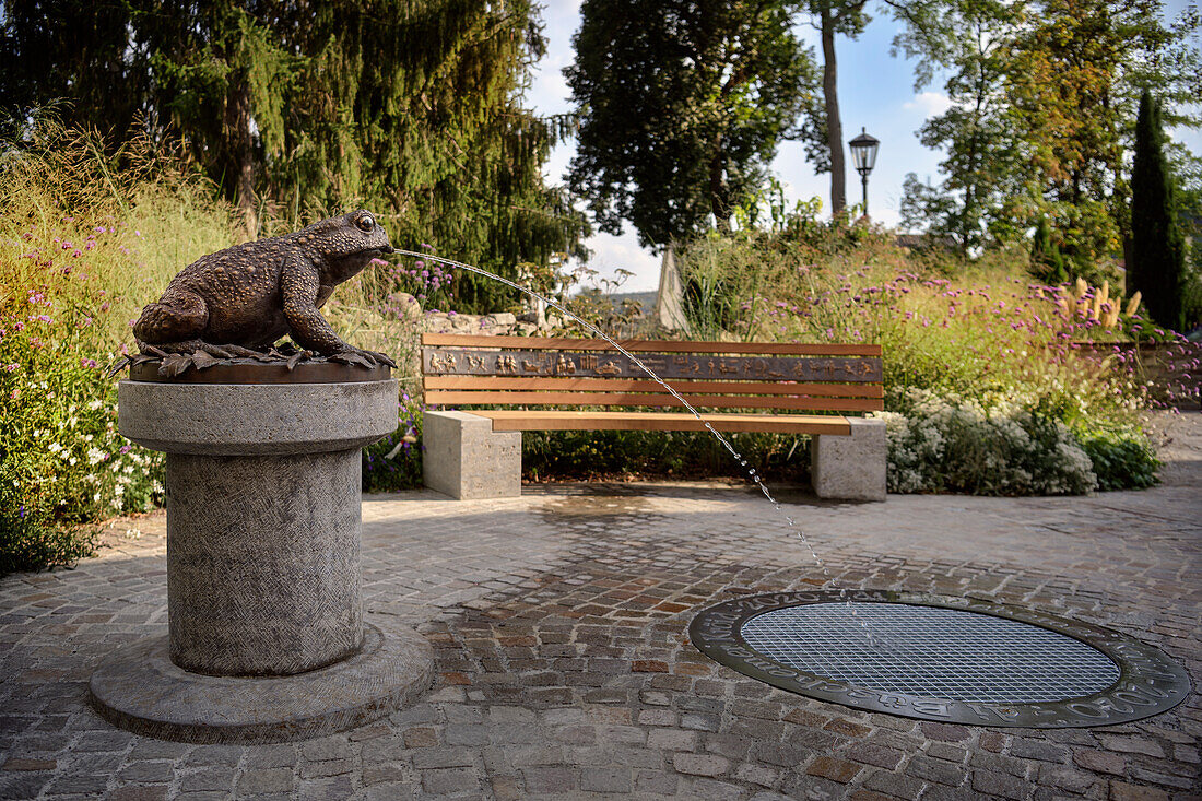Toad fountain, Tauberbischofsheim, Main-Tauber district, Baden-Württemberg, Germany