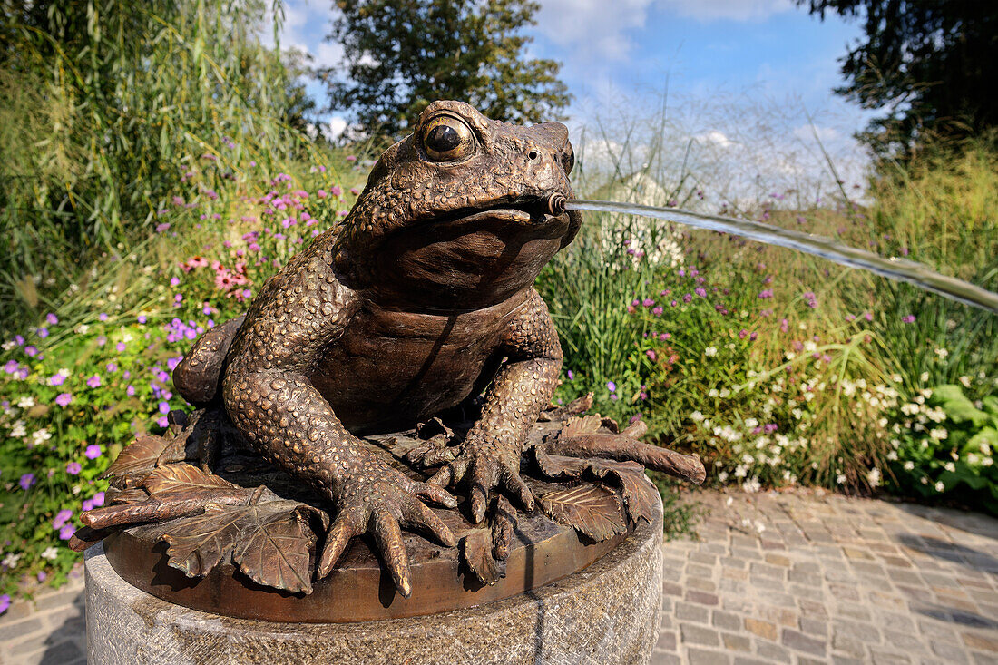 Toad fountain, Tauberbischofsheim, Main-Tauber district, Baden-Württemberg, Germany