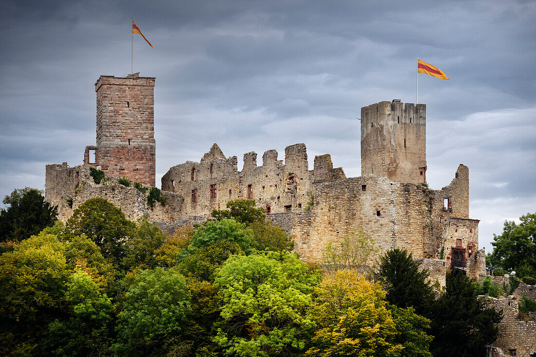 Rötteln castle ruins with Baden flag, Loerrach, Baden-Wuerttemberg, Germany, Europe