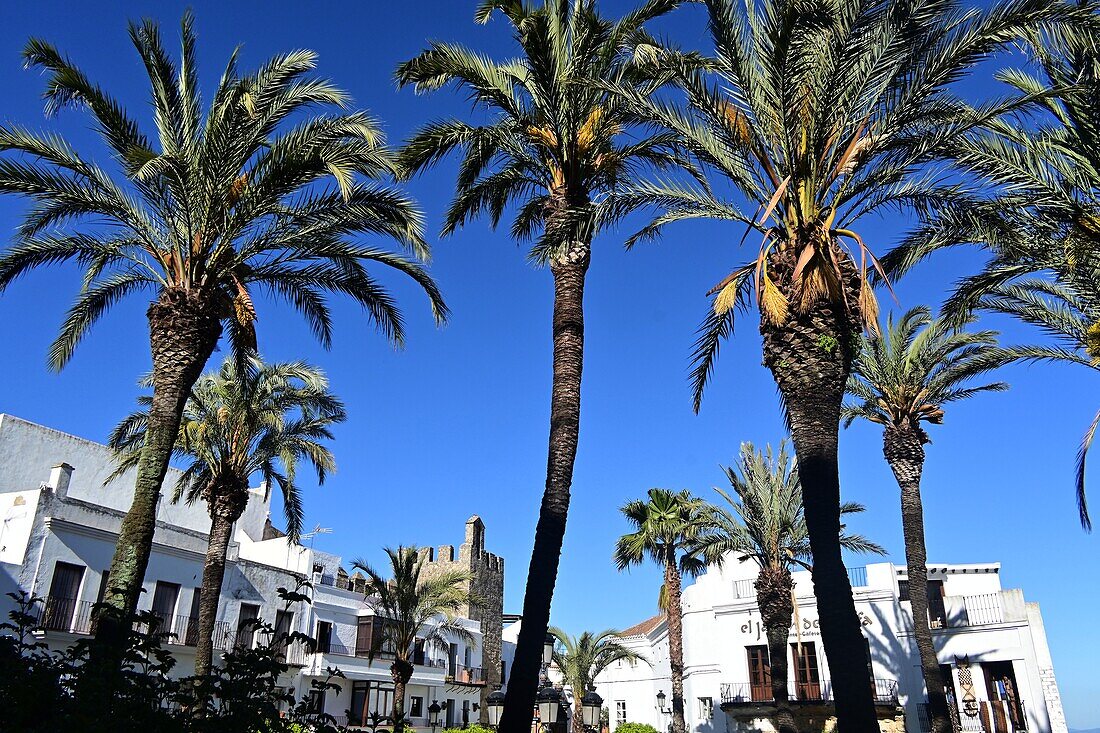 am Rathaus, Vejer de la Frontera, Costa de la Luz, Andalusien, Spanien