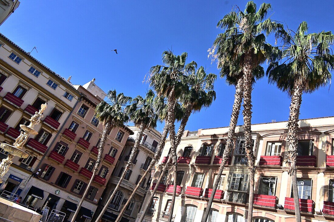 in der Altstadt, Malaga, Andalusien, Spanien