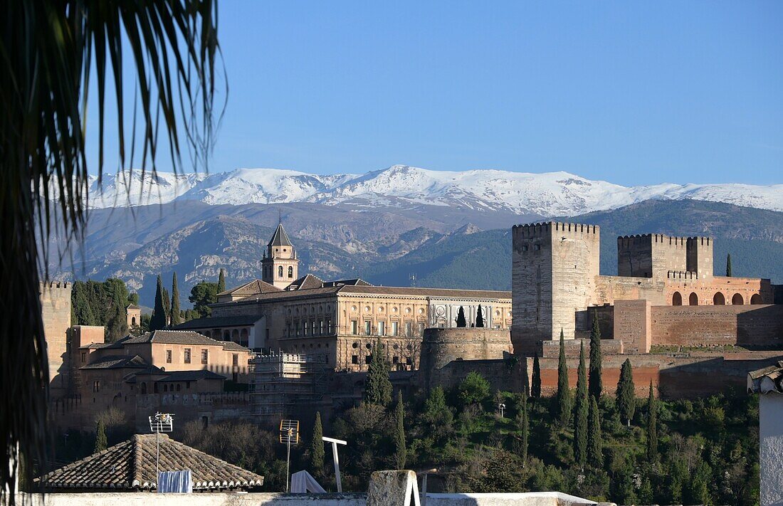 Blick von Albaicin auf die Alhambra und Sierra Nevada, Granada, Andalusien, Spanien