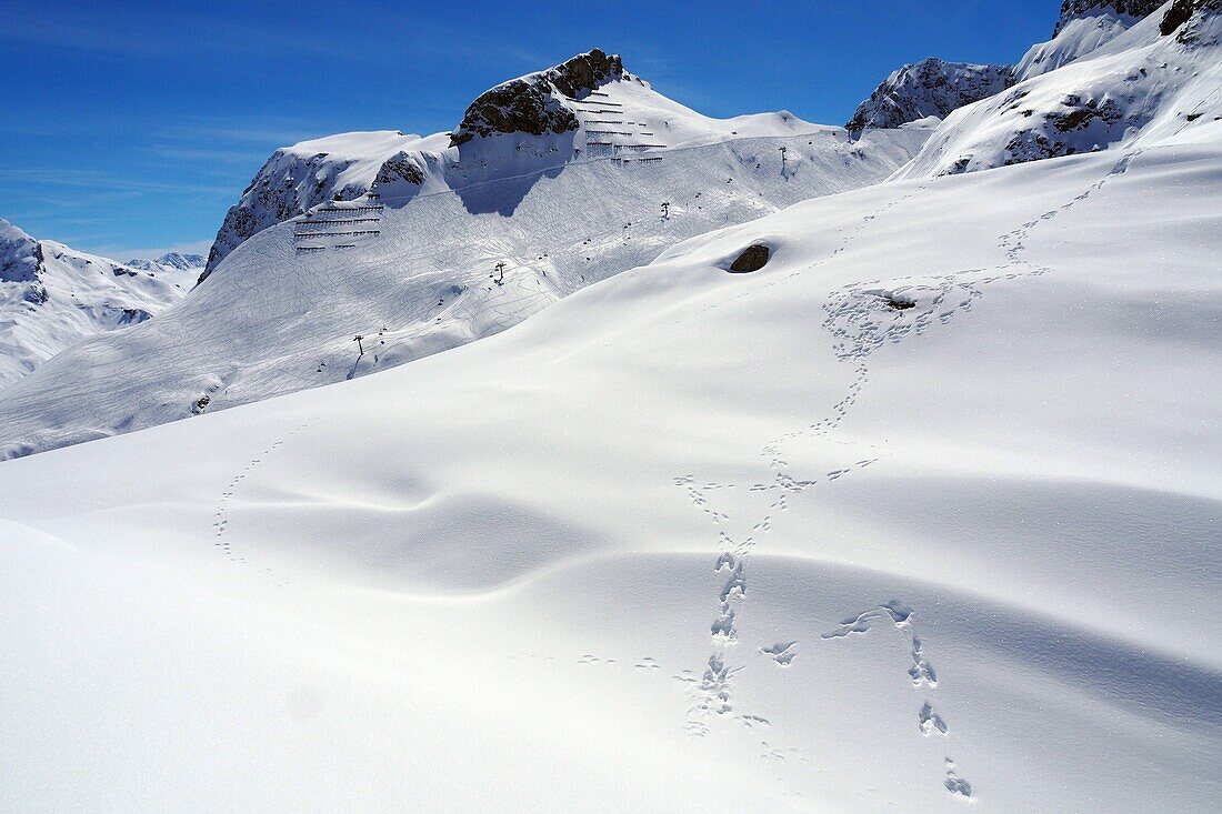 Skigebiet über Zürs am Arlberg, Winter im Vorarlberg, Österreich