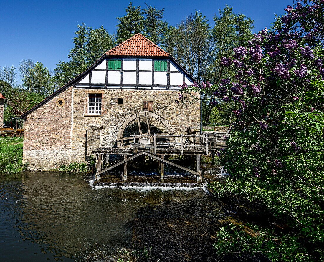 Historische Ölmühle (1800) am Schloss Brake, Lemgo, Nordrhein-Westfalen, Deutschland