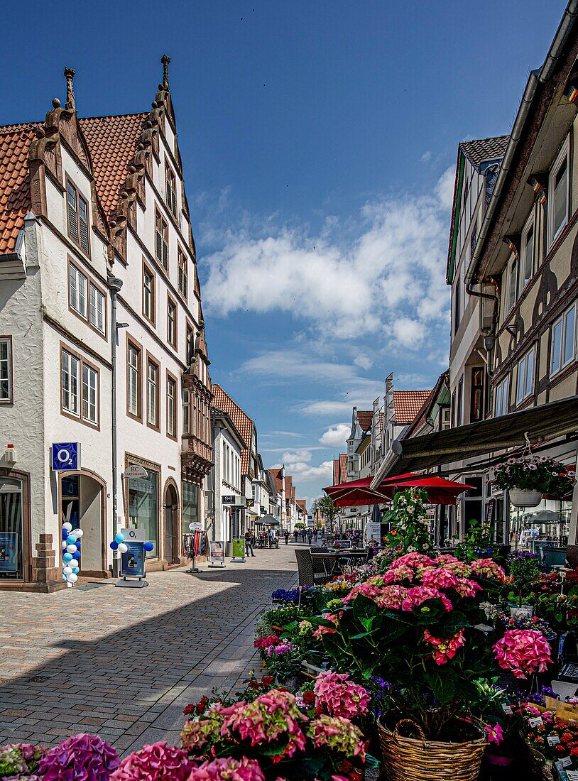 Historische Gebäude in einer Einkaufsstraße, Altstadt von Lemgo, Nordrhein-Westfalen, Deutschland