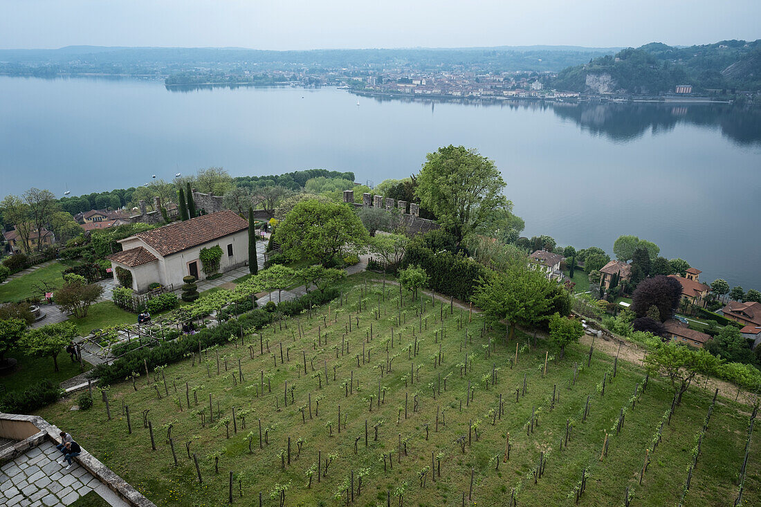The botanical garden and vineyard from Rocca di Angera on Lake Maggiore, Varese Province, Lombardy, Italian Lakes, Italy, Europe