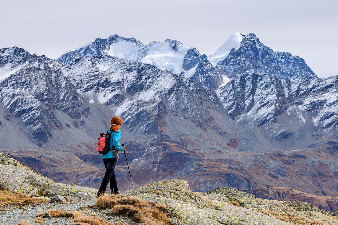 Frau wandert am Lej Lunghin, Piz Bernina und Piz Roseg im Hintergrund, Lunghinsee, Innquelle, Albula-Alpen, Graubünden, Schweiz