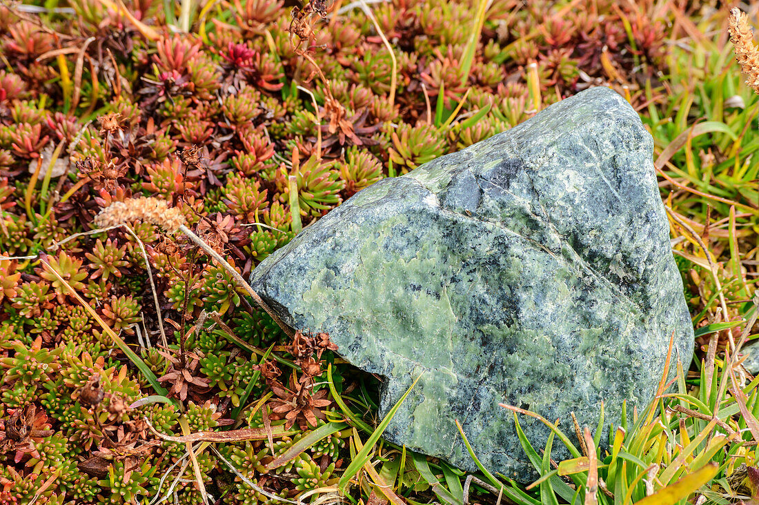 Serpentinit am Lunghinsee, Innquelle, Albula-Alpen, Graubünden, Schweiz