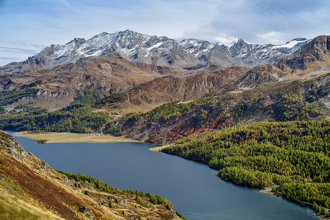 View of Lake Sils and Bernina Group, from Lunghinsee, Innquelle, Albula Alps, Graubünden, Switzerland