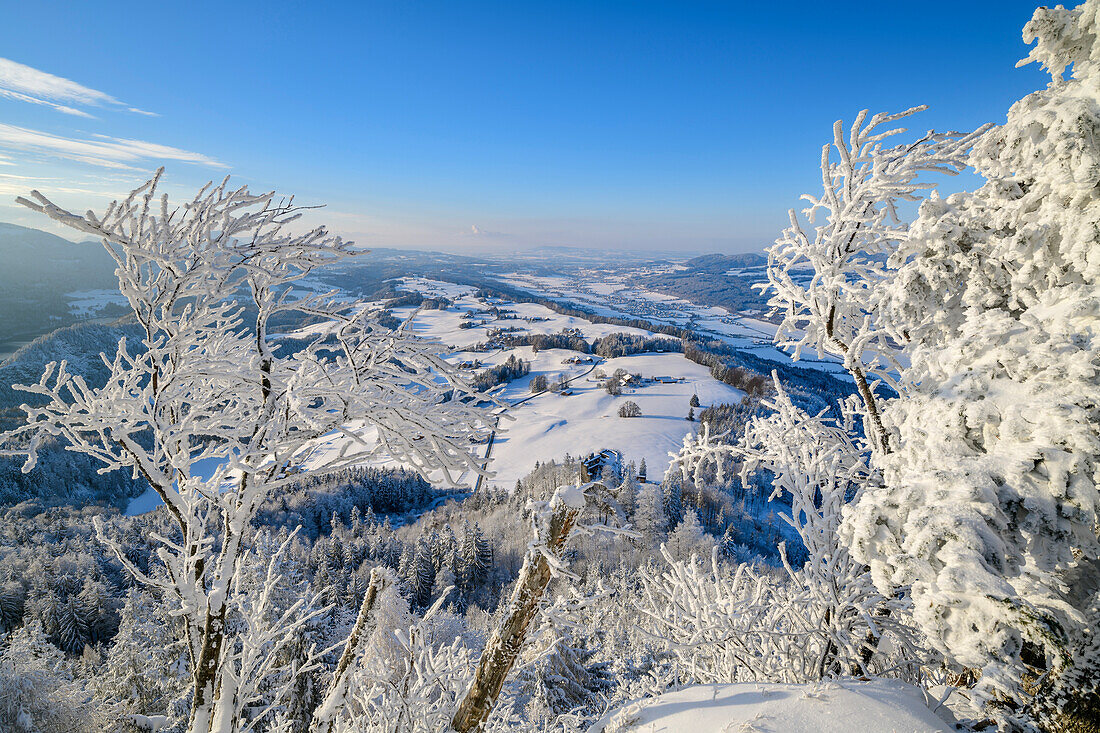 Blick vom Schober auf Voralpenland, Schober, Salzkammergut, Salzkammergutberge, Salzburg, Österreich