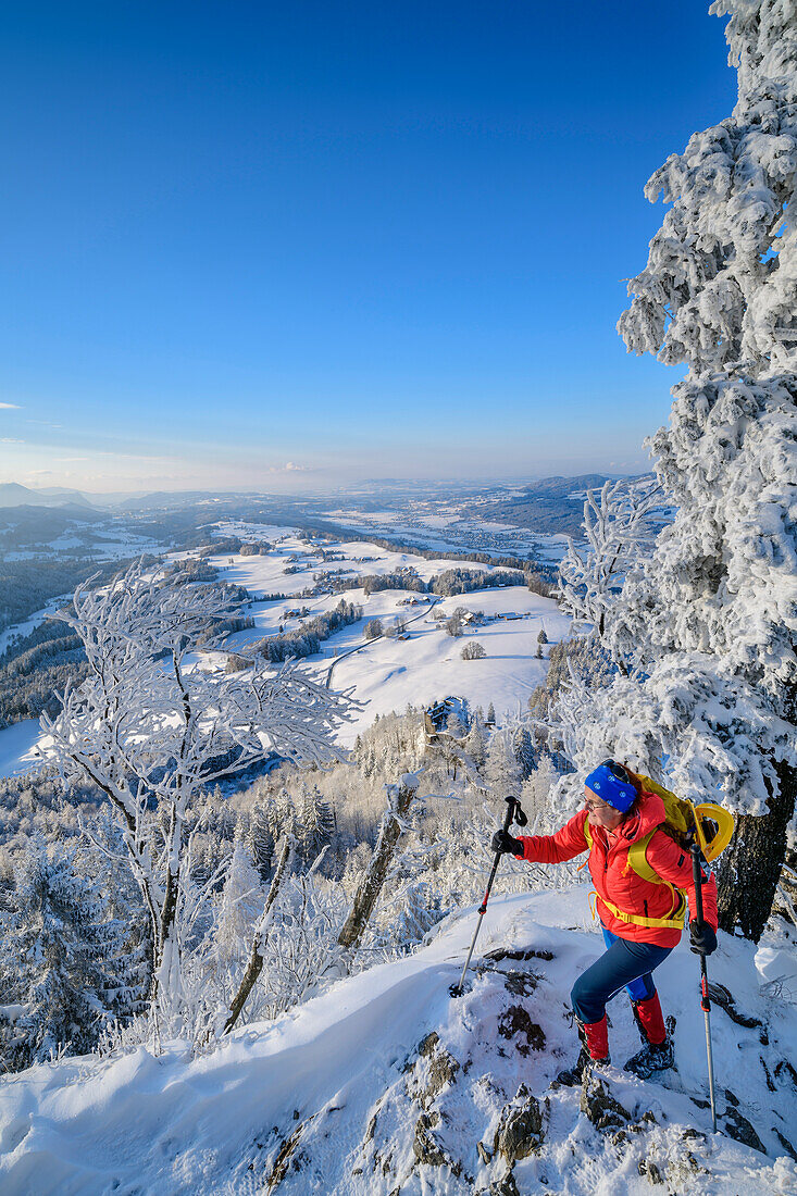 Woman hiking in winter climbing up to the Schober, Schober, Salzkammergut, Salzkammergut Mountains, Salzburg, Austria