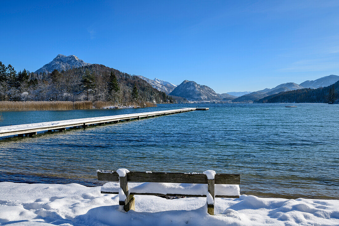 Snow covered bench at Lake Fuschl, Fuschlsee, Salzkammergut, Salzkammergut Mountains, Salzburg, Austria