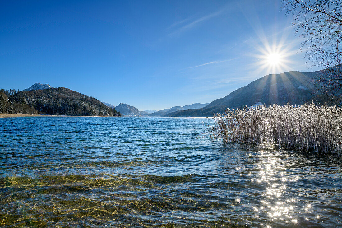 Winterstimmung am Ufer des Fuschlsee, Fuschlsee, Salzkammergut, Salzkammergutberge, Salzburg, Österreich