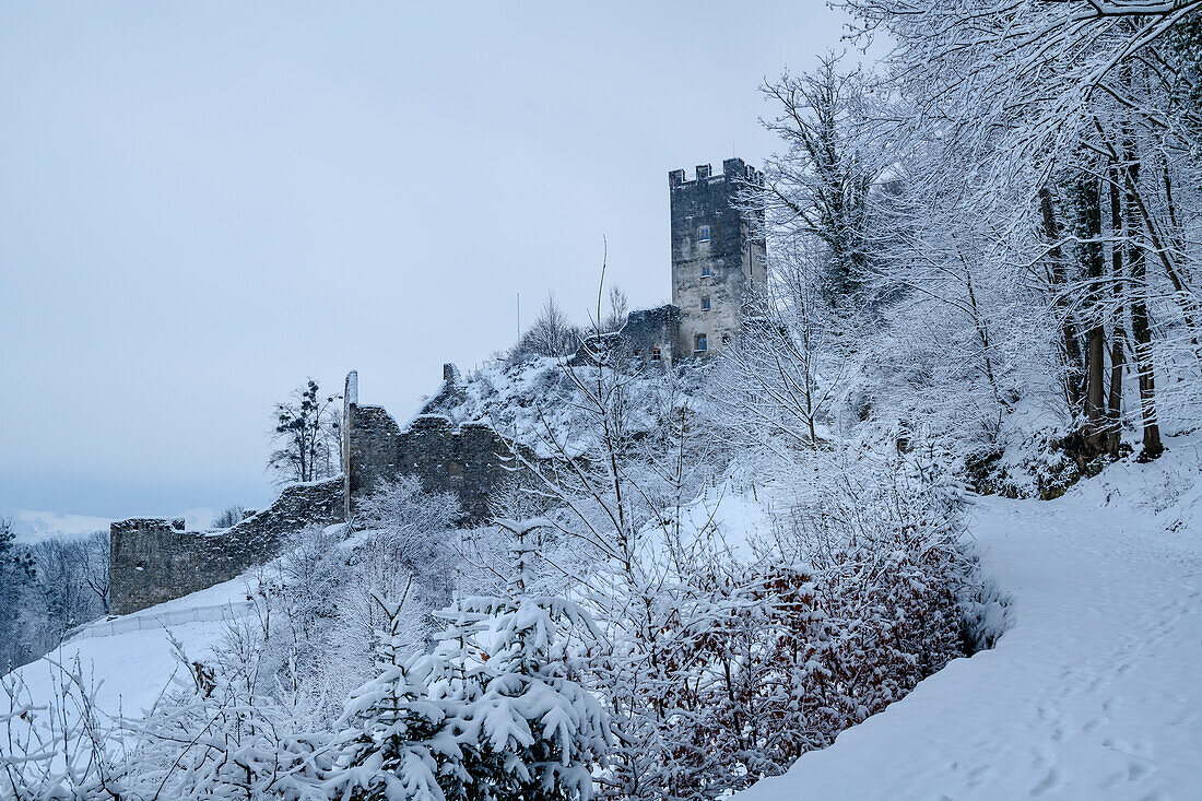 Castle ruins Falkenstein, Flintsbach am Inn, Inn Valley, Bavarian Alps, Upper Bavaria, Bavaria, Germany