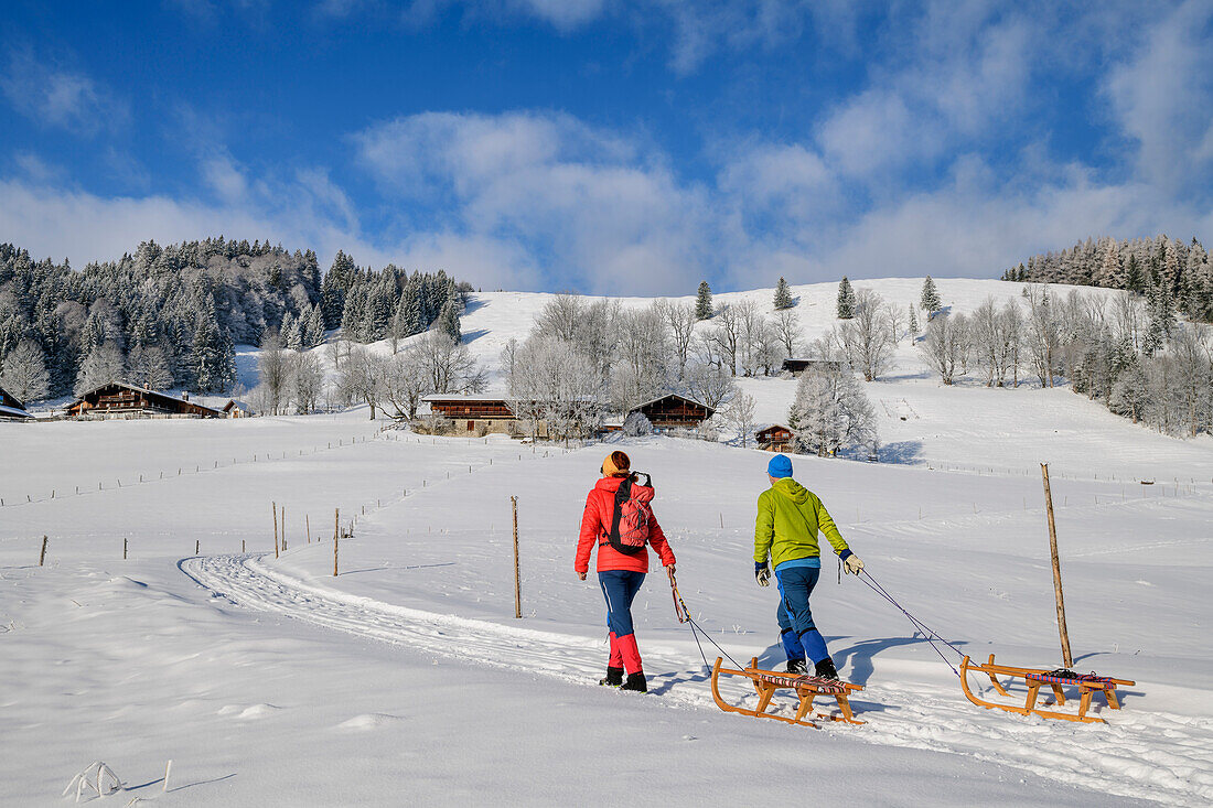 Man and woman pulling sledges to Hohen Asten, Hohe Asten, Bavarian Alps, Upper Bavaria, Bavaria, Germany