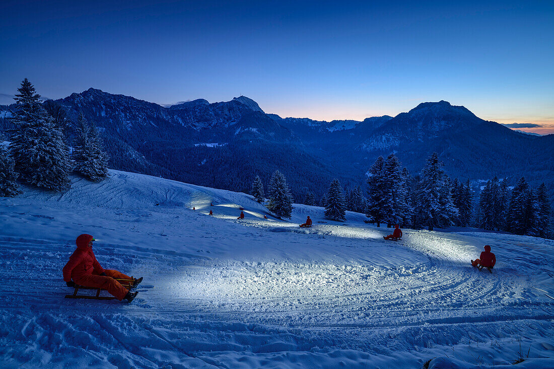 Person fährt im Stirnlampenschein mit Schlitten vom Farrenpoint ab, Farrenpoint, Bayerische Alpen, Oberbayern, Bayern, Deutschland