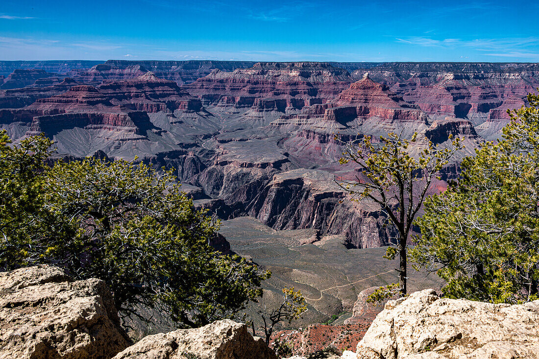 Südrand des Grand Canyon im Frühling, Arizona, USA