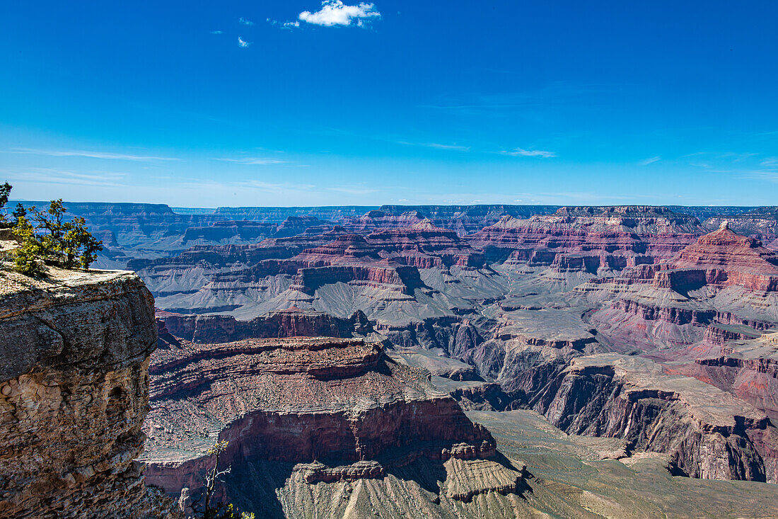 Südrand des Grand Canyon im Frühling, Arizona, USA