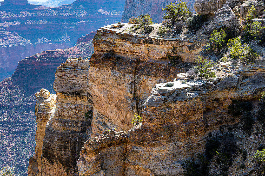South Rim of the Grand Canyon in Springtime