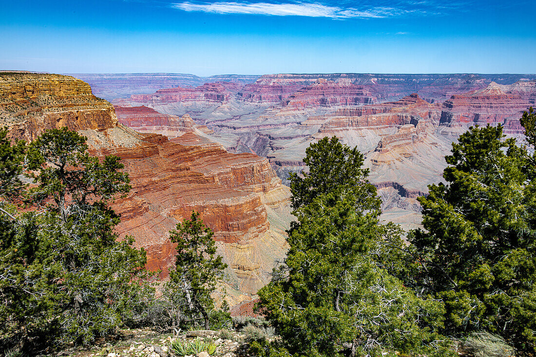 Südrand des Grand Canyon im Frühling, Arizona, USA