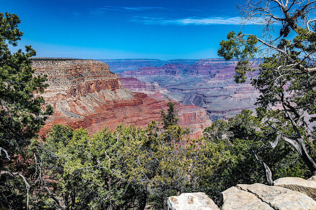 Südrand des Grand Canyon im Frühling, Arizona, USA