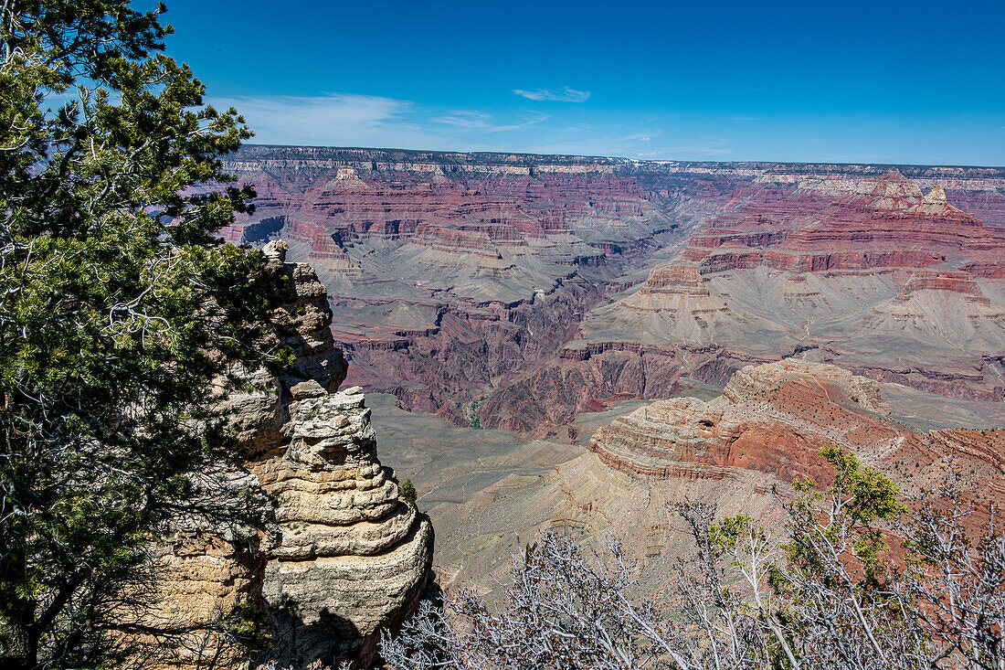 South Rim of the Grand Canyon in Springtime